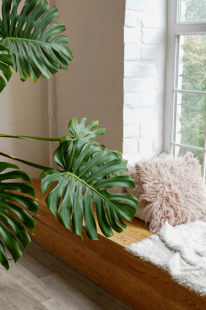 Cozy reading nook in a sunny window.